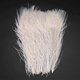 thumbnail image 3 of 50 Pcs/natural White Peacock Feathers In The Eye, 10 To 12 Inches Of The Peacock Feather Wedding De, 3 of 5