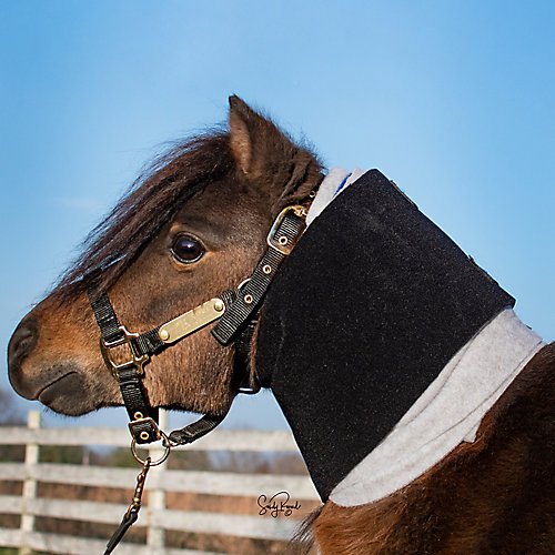 Ozark Mini/Pony Premium Neck Wraps 10 Inch Pony