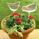 thumbnail image 4 of Regadera de riego automático para plantas, bulbos de vidrio, dispositivo de riego transparente, 4 of 7