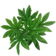 thumbnail image 1 of Ramas de helecho con hojas verdes artificiales en macetas para decoración del hogar n. degree 1, 1 of 9