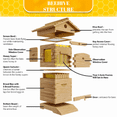 thumbnail image 2 of Wax-Coated Beehive Starter Kit with 6 Honeycomb Frames & Automatic Honey Extraction System, 2 of 7