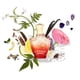 thumbnail image 4 of Perfume Creed Royal Princess Oud para mujer 30 ml, 4 of 5