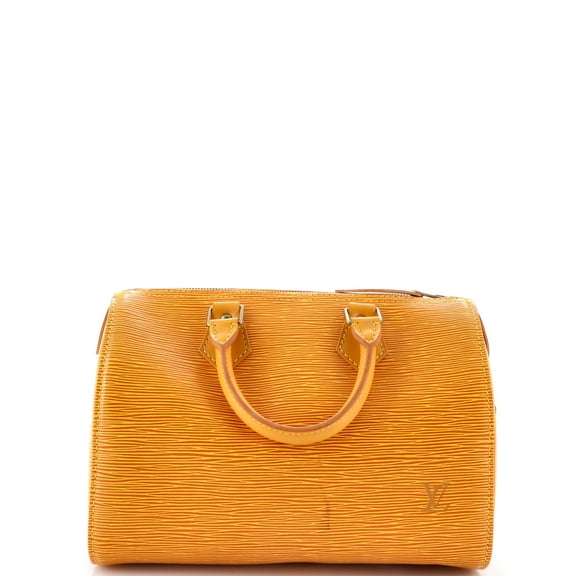Pre-Owned Speedy Handbag Epi Leather 25 By Rebag