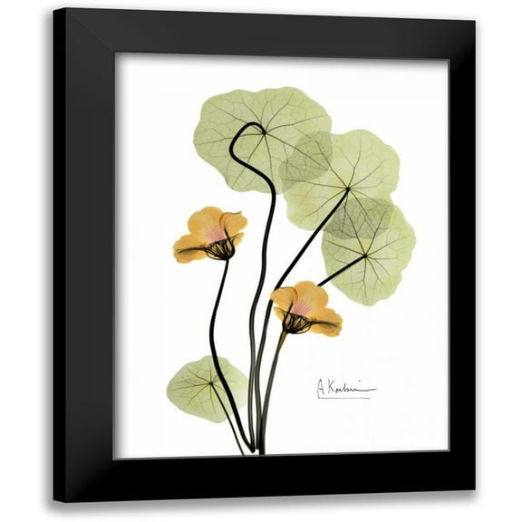 Koetsier, Albert 12x14 Black Modern Framed Museum Art Print Titled - Nasturtium in Yellow 2