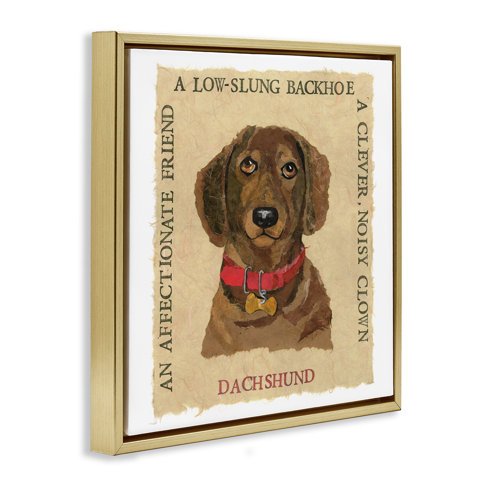 Stupell Industries Fun Dachshund Pet Phrases Animals Painting Gold Floater Framed Canvas Art Print Wall Art, 25 x 25