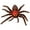 E, variant on ​​GiLiling Realistic Jiggly Stretchy Spider Toy Collection​​ | Soft Rubber Halloween Prank Prop with Lifelike Movement for Interactive Scare Experiences and Thematic Displays