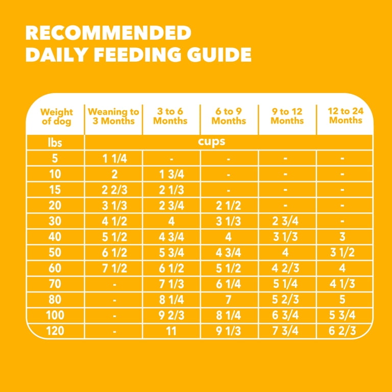 beef fresh dog food Freshpet Beef, Chicken & Turkey Homestyle Creations Dog Food, 16oz main image 0