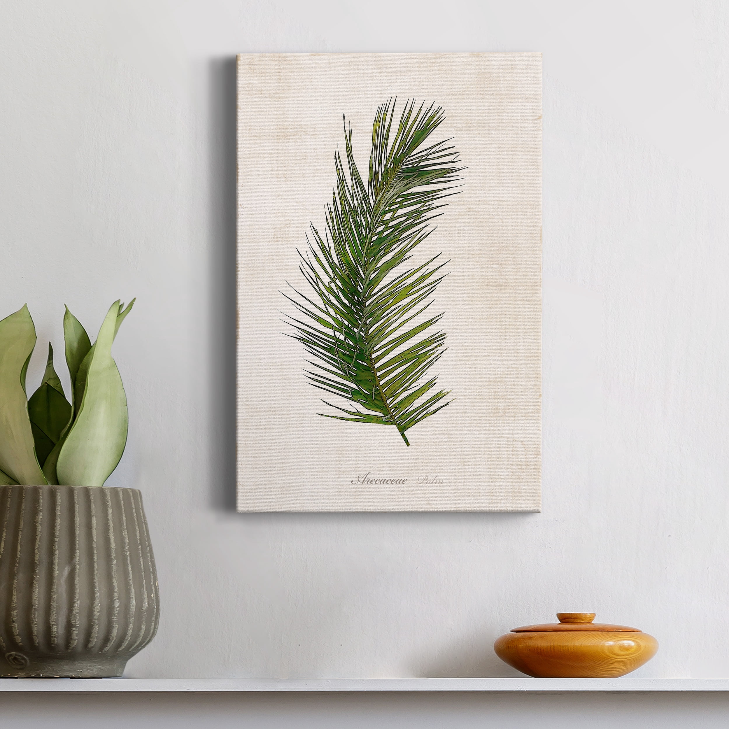 Palm Botanical II Premium Gallery Wrapped Canvas - Ready to Hang - 18 x 27