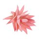 thumbnail image 3 of Uxcell Pequeñas Plantas Suculentas Artificiales Sin Maceta Picos Suculentos Falsos Rosa 2 Paquete, 3 of 5