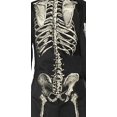 thumbnail image 5 of Bone Chillin Adult Costume XX-Large, 5 of 5