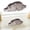 B, variant on Alligator Baby Statue Ornament,Garden Animals Crocodile Figurine, Resin Animal Sculpture for Cute Mini Alligator Indoor Outdoor Home Decoration Figurines Animal Statue Sculpture