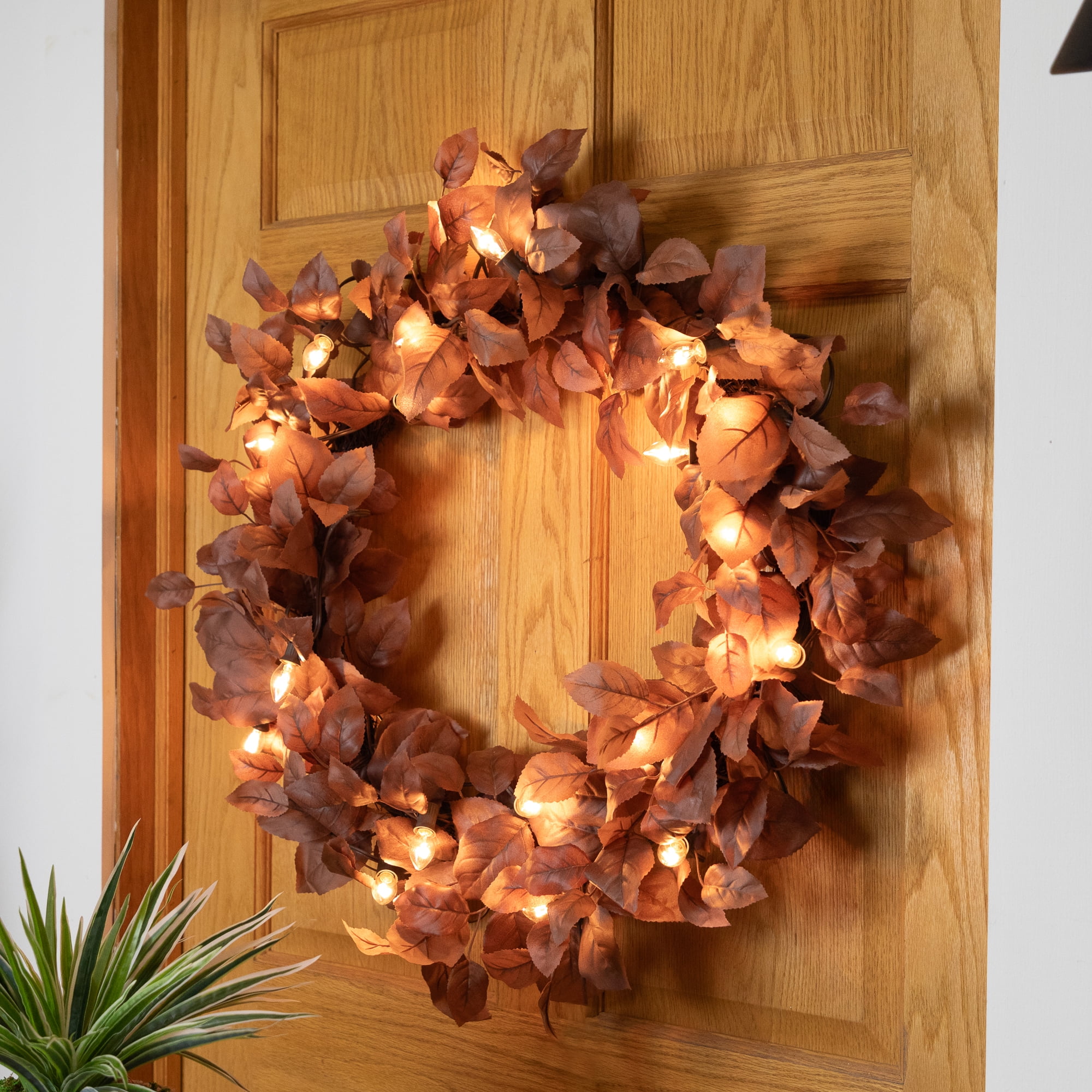 Northlight C7 Christmas String Lights - Clear - 24' Brown Wire - 25ct