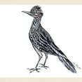 thumbnail image 3 of CafePress - Cool Desert Roadrunner Light T Shirt - Men's Classic Graphic T-Shirt, 3 of 4