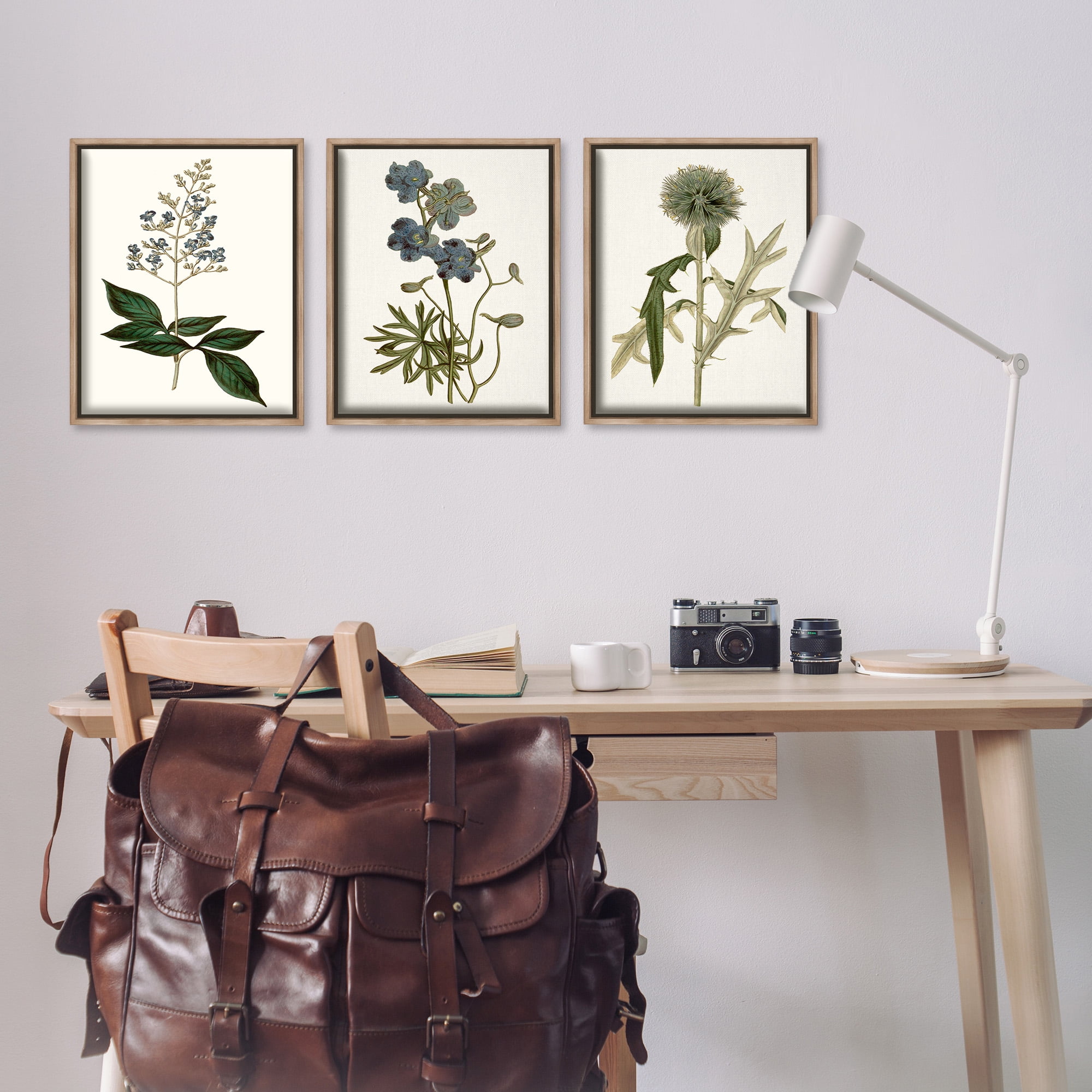 Stupell Industries Vintage Botanical Flowers on Beige Botanical & Floral Painting Brown Floater Framed Canvas Art Print Wall Art, 17 x 21, Set of 3
