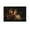 Unframe-style, variant on Titanic Poster Movie The Academy Awards Canvas Poster Wall Art Picture Prints Hanging Photo Gift Decor Home Posters Artworks 12x18inch(30x45cm)