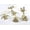 Gold, variant on Fennco Styles Coastal Sea Creatures Metal Napkin Rings, Set of 6 - Silver Nautical Sea Life Napkin Holders for Home Décor, Dining Table, Banquets, Family Gathering and Special Occasions