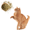 thumbnail image 4 of Catnip Stalkless Dried Ground Premium Bulk 6 Ounce Bag Strong Cat Nip for Cats | Catnip Kitty Safe | All-Natural Cat Nip | Finely Ground Without Stalks or Stems | Catnip Bag (6 Ounce), 4 of 6