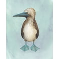 thumbnail image 2 of Popp, Grace 26x32 Black Ornate Wood Framed with Double Matting Museum Art Print Titled - Watercolor Beach Bird I, 2 of 4