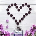 thumbnail image 6 of Sambucol, Black Elderberry, Immune Support Gummies with Vitamin C & Zinc, Natural Berry, 60 Gummies 2 Packs, 6 of 6