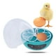 thumbnail image 4 of Incubadora de huevos para niños con control de temperatura. Mini máquina incubadora para pollos. 6 huevos azul automático, 4 of 9