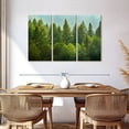 thumbnail image 3 of Elephant Stock Lush Green Pine Trees Wall Art - Horizontal Multi Panel Canvas - 3 Pieceliving Room Wall Decor - Photography Nature Multi Panel - Green And Blue Decor - 57" x 36", 3 of 8