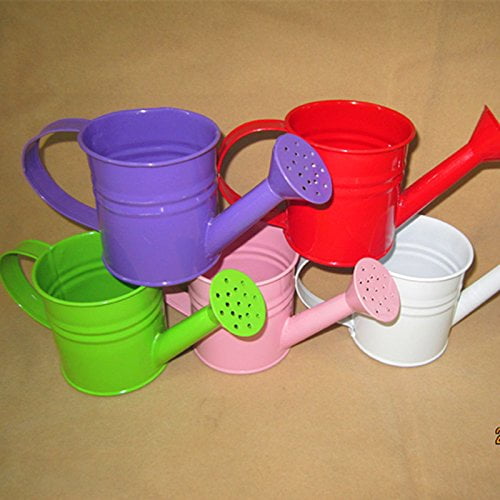 Mini White Metal Watering Can 1.2 Liter Manual Colorful Watering Can