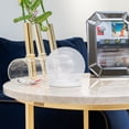 thumbnail image 5 of Gymnture Clear Glass Dome Cloche with Base for Plants and Decor (1/2/5 Pack), 5 of 10