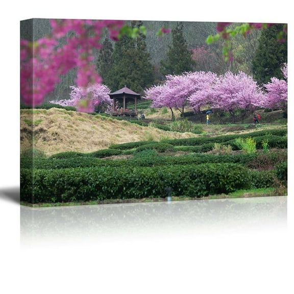 Wall26 Serene Japanese Garden with Cherry Blossom Trees and a Kiosk - Canvas Art Home Decor - 12x18 inches