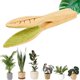 thumbnail image 2 of Pinzas para limpiar hojas, pinzas para limpiar hojas de plantas, limpiador de pelusas de hojas de plantas con mango de madera, limpieza de hojas, 2 of 5