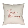 thumbnail image 2 of Surya Gourds Thanks Giving Word Print Outdoor Pillow, 2 of 2