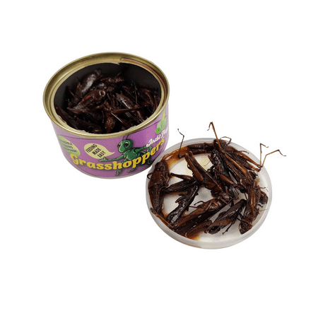 Josh's Frogs Canned Grasshoppers (35g)