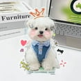 thumbnail image 3 of Adorable Pet Clothes for Cats & Small Dogs - Charming Spring & Autumn Wear, 3 of 3