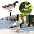 thumbnail image 2 of Acrylic Duck Yard Ornaments - Double-Sided Garden Stake Decorations, Ground Insert Animal Sculpture Statue for Lawn, Patio, Farmhouse Outdoor Yard Art & Garden Decor, 2 of 5