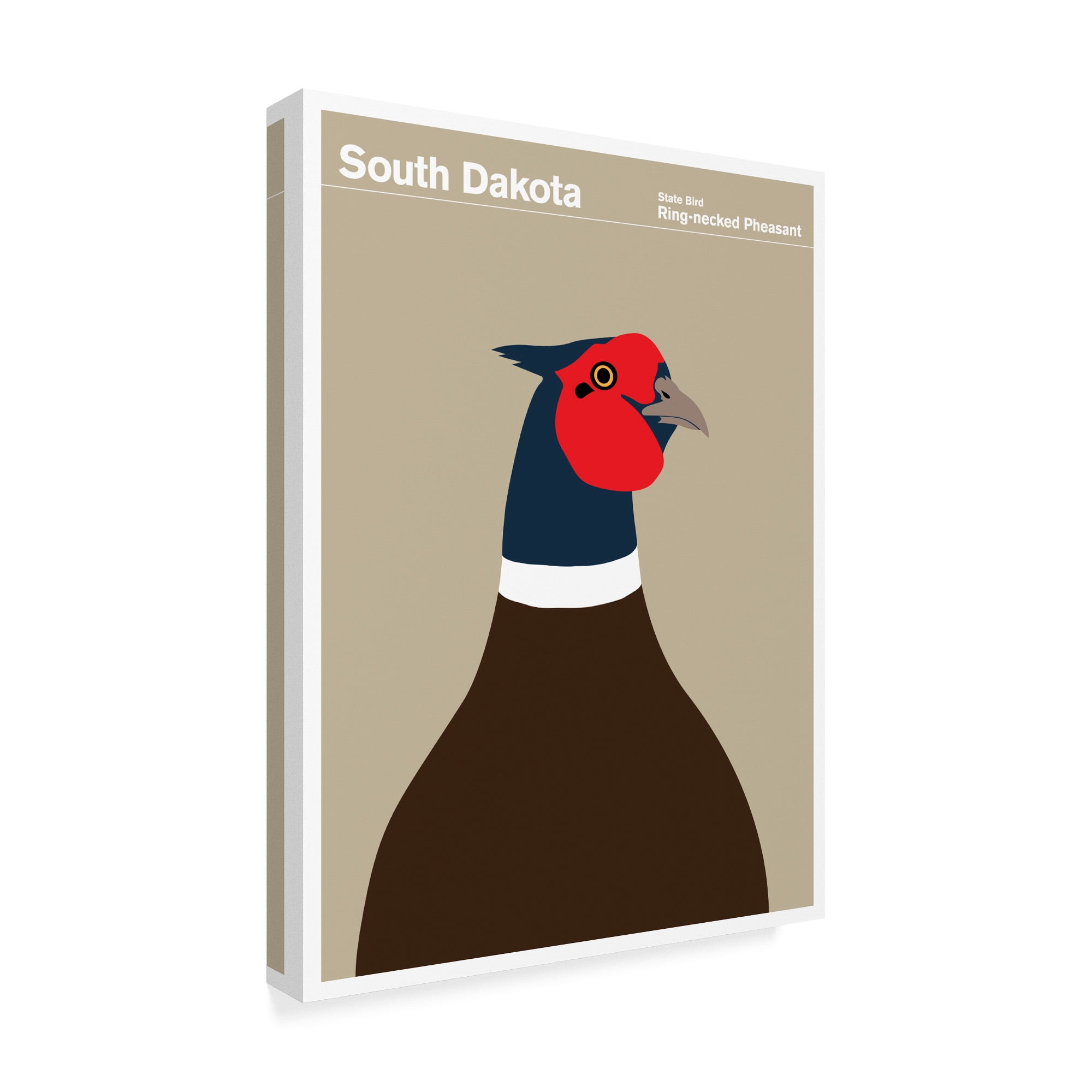 Trademark Fine Art 'South Dakota Pheasant' Canvas Art by Print Collection - Artist