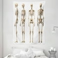 thumbnail image 1 of Human Anatomy Tapestry, Man Male Human Skeleton Skull Different Perspectives Medical Humor Illustration, Wall Hanging for Bedroom Living Room Dorm Decor, 60W X 80L Inches, Cream, by Ambesonne, 1 of 2
