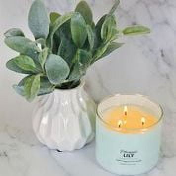 Mainstays Pineapple and Papaya Scented 3-Wick Candles,14 oz., 2-Pack