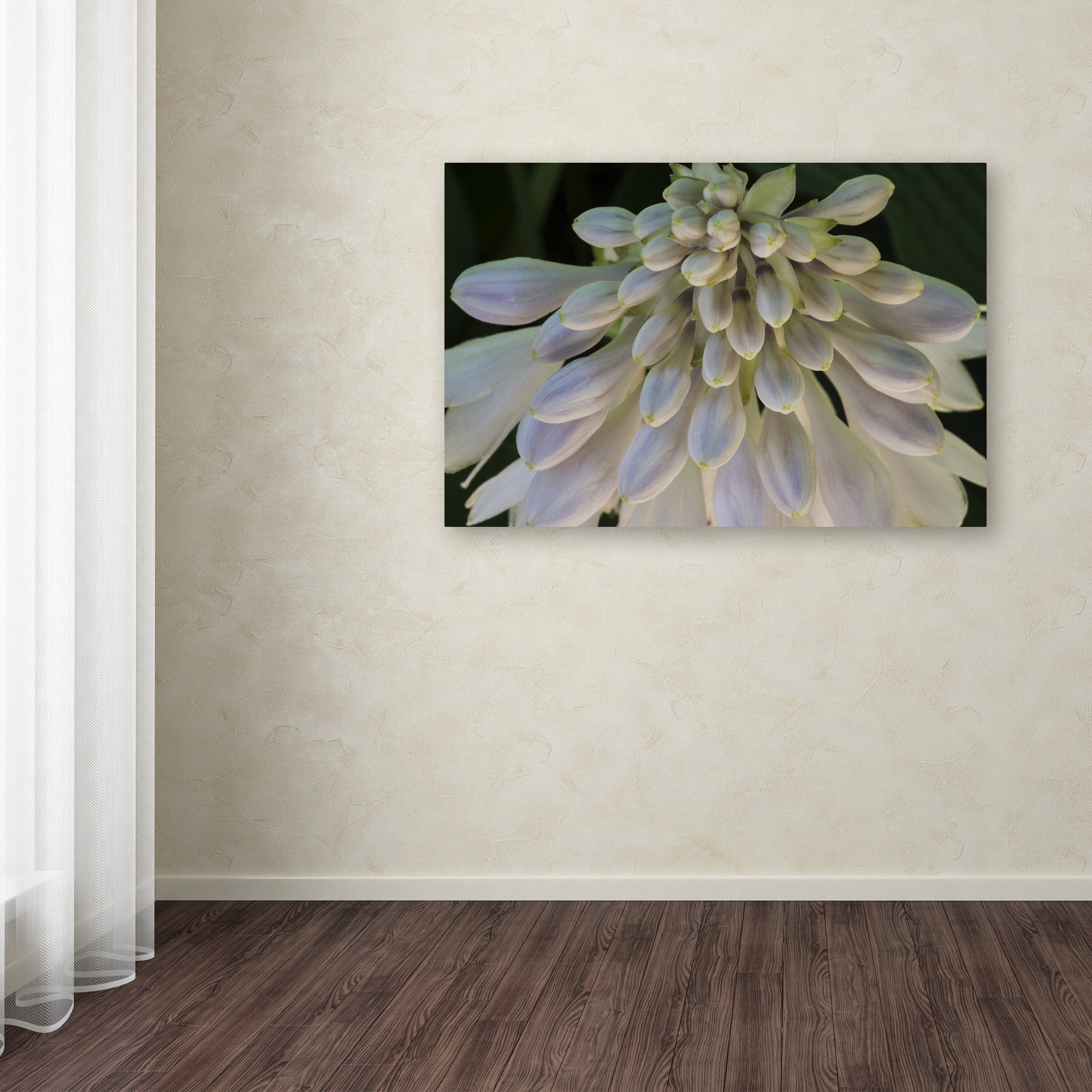 Trademark Fine Art "Hosta Flower Abstract" Canvas Art by Kurt Shaffer