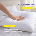 thumbnail image 6 of Preminente Decorative Throw Pillow Insert, Feathers and Down Fill, 100% Cotton Cover, Square Pillow Insert -18X18, 6 of 6
