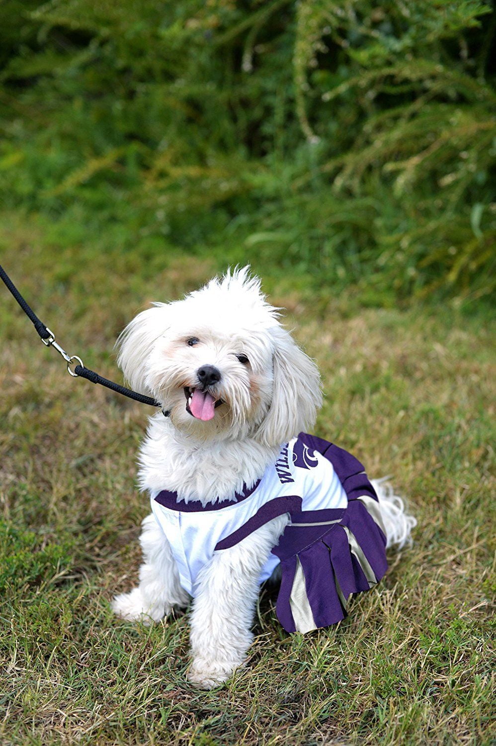 Pets First College Kansas State Wildcats Cheerleader, 3 Sizes Pet Dress Available. Licensed Dog Outfit