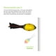 thumbnail image 4 of Greeniant Pelota de espuma, exquisito juguete deportivo de bolsillo, bonitos juguetes de fútbol de larga distancia, elástico, impermeable, resistente al Ropa Deportiva, Zapatos Amarillo Greeniant OD016723-02, 4 of 6