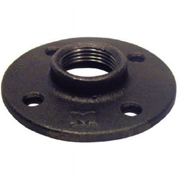 Pannext Fittings B-FLF10 Black Floor Flange - 1 in.