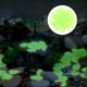 thumbnail image 3 of KAKOWELY 300 piedras luminosas de resina para pecera, decoración única para paisajismo de jardín., 3 of 5