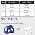 thumbnail image 3 of Dog Harness for Small Dogs, No Pull Pet Harness with 2 Leash Clips, Adjustable Soft Padded Dog Vest Handle, Reflective No Choke Pet Vest Harness, Blue, S, 3 of 7