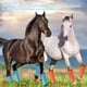 thumbnail image 4 of 4 Botas para Moscas Transpirables y Cómodas Resistentes Al Desgarro Evitan Pisotear las Botas de las Patas de los Caballos No Se Caen Fácilmente Protectores de Piernas de ANGGREK Otros, 4 of 8