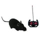 thumbnail image 1 of Juguete de ratones RC Hugo control remoto negro para gatos y perros, 1 of 9
