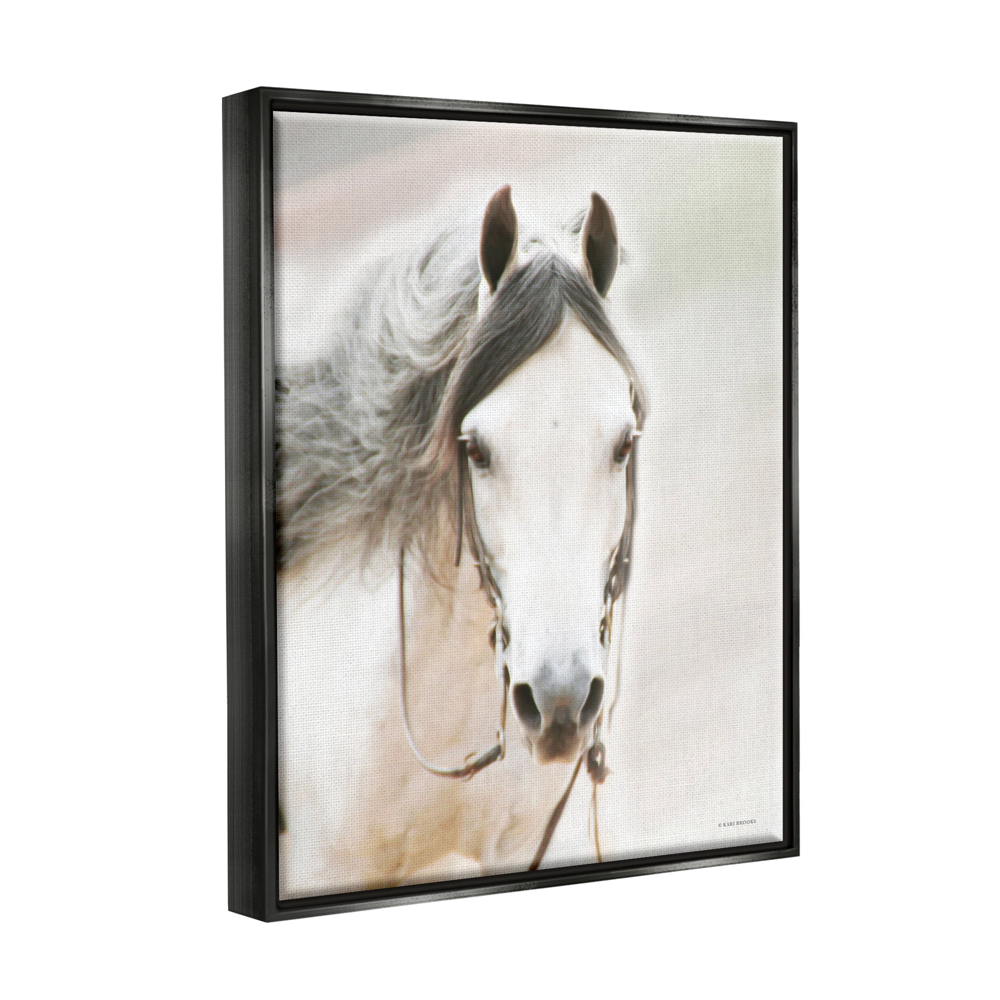 Stupell Industries White Horse Portrait Animals & Insects Photography Black Floater Framed Art Print Wall Art, 25 x 31