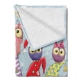 thumbnail image 2 of Christmas Soft Flannel Fleece Throw Blanket, Funny Colorful Clothes Gnomes and Owls on Their Heads on Pastel Tone, Cozy Plush for Indoor and Outdoor Use, 60" x 80", Baby Blue Multicolor, by Ambesonne, 2 of 5