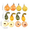 thumbnail image 2 of Calabazas De Simulación De Halloween Modelos De Calabaza De Espuma Artificial Para La Decoración De Halloween 12Pcs Sweethay HA037346-00, 2 of 6