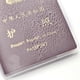 thumbnail image 4 of Protector de Pasaporte Tmvgtek Camping 2 uds funda protectora transparente PVC, 4 of 9