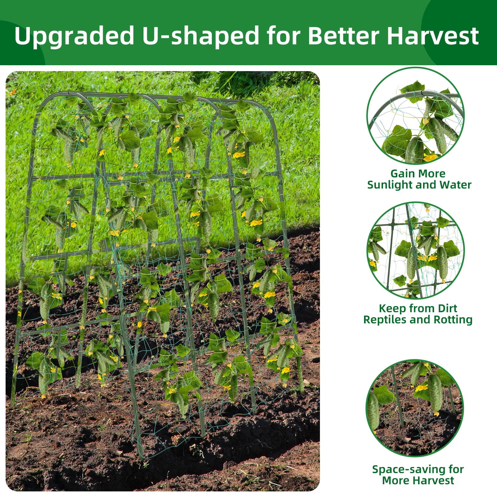 65"*50" Cucumber Trellis For Raised Bed Tall Metal Arch Garden Climbing Plants Outdoor Vegetables Plant Support Peas Fruit Flower Grape Tomato  Bean